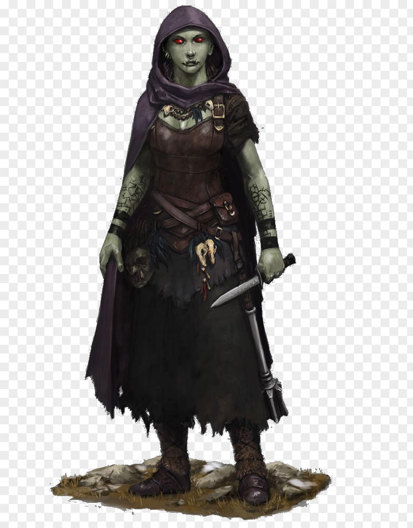 Dwarf Dungeons & Dragons Pathfinder Roleplaying Game Half-orc Rogue PNG