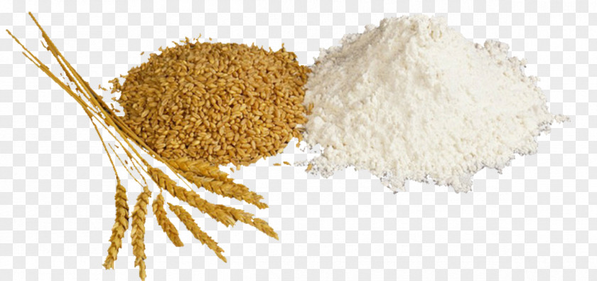 Grain Wheat Flour Atta Pasta Roti PNG