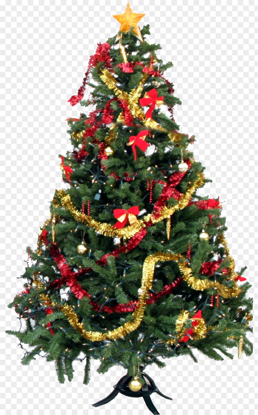 Christmas Tree Lighting Clip Art PNG