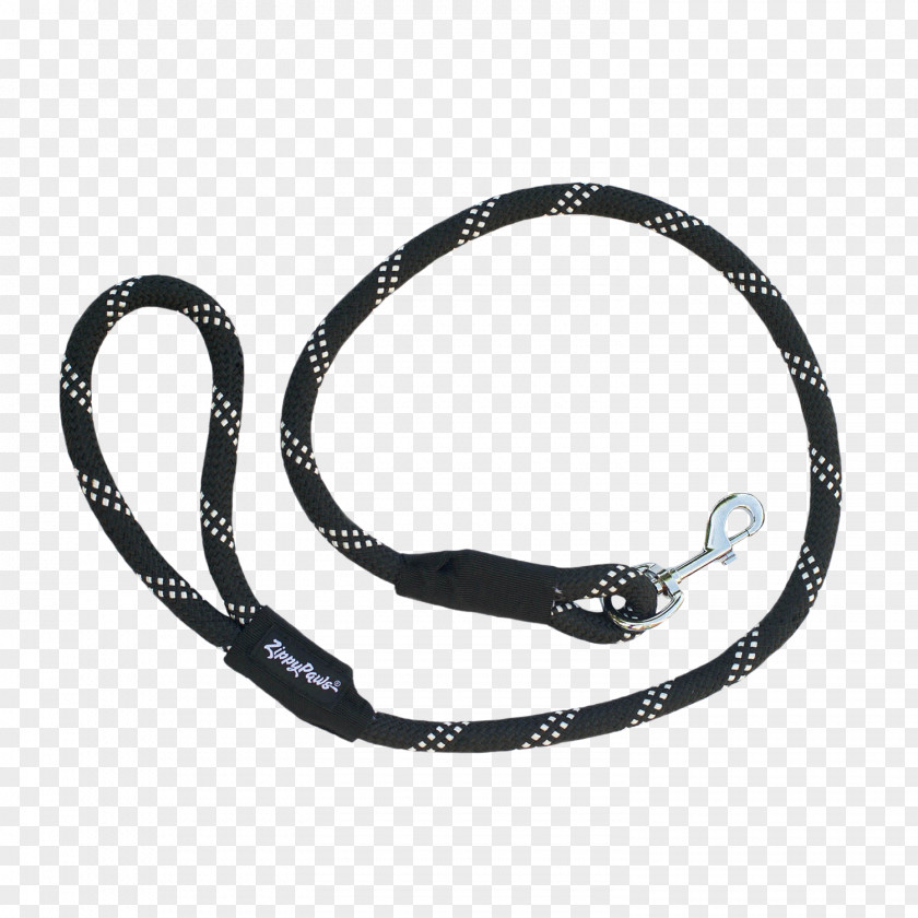 Dog Collar Leash Lead PNG