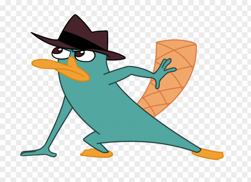 Parry Perry The Platypus Phineas Flynn High School Ferb Fletcher PNG