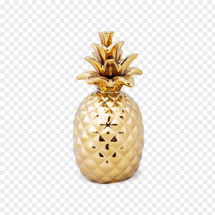 Pineapple Artifact PNG