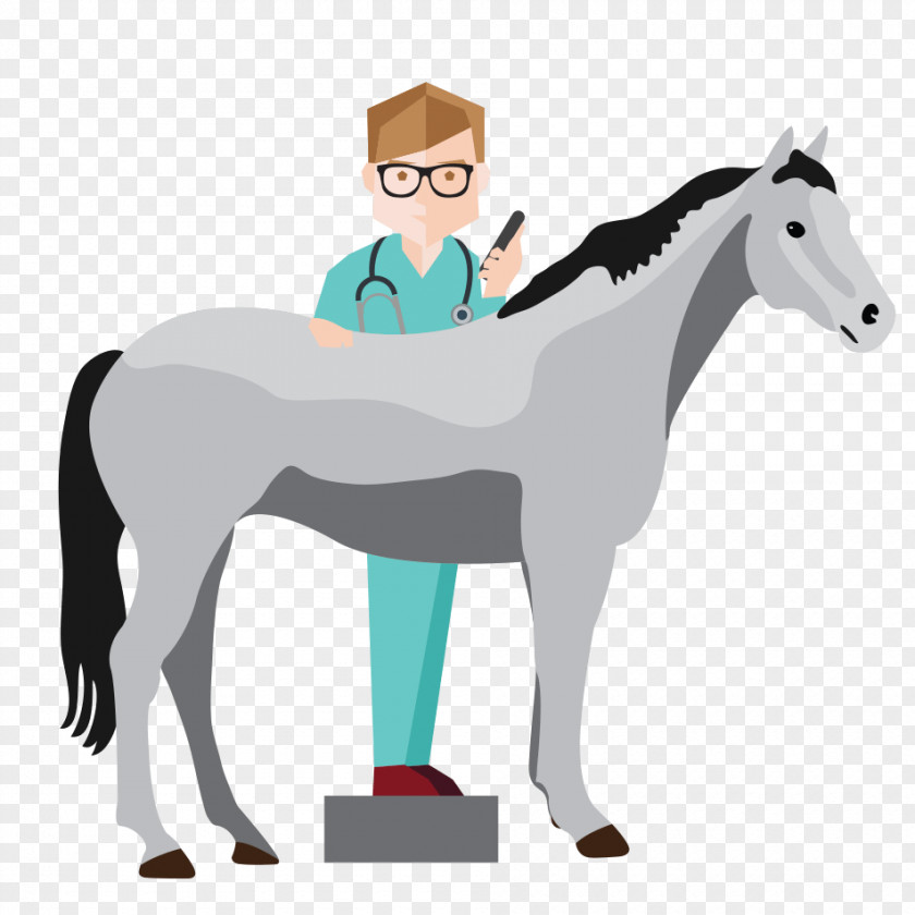 Veterinary Doctor Pony Foal Colt Mustang Stallion PNG