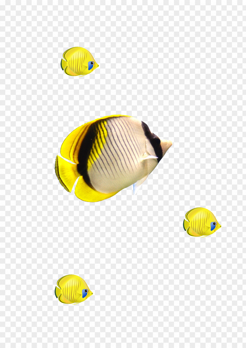Yellow Fish Euclidean Vector Computer File PNG