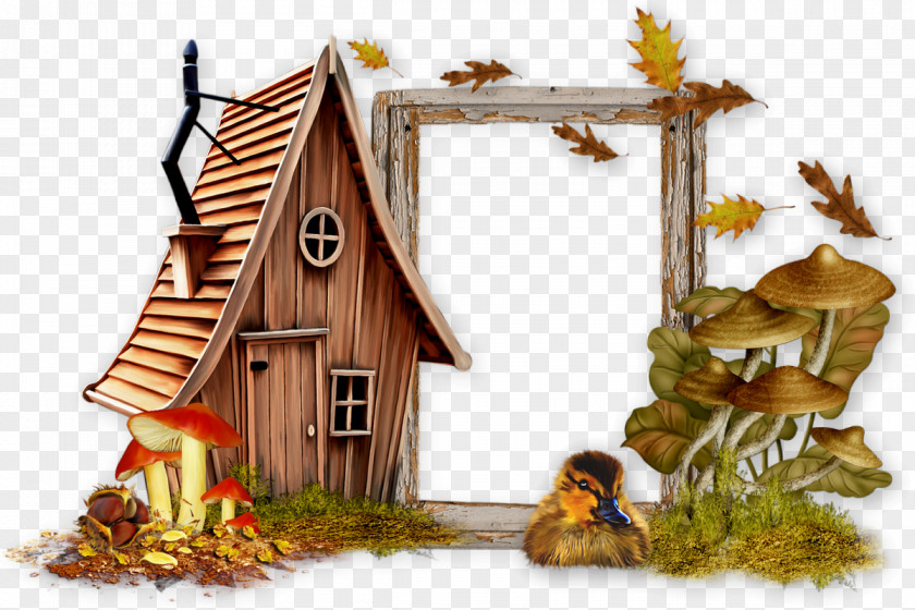 Autumn Photography Image Picture Frames PNG