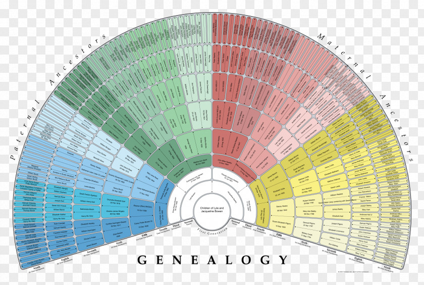Family Genealogy Tree Pedigree Chart FamilySearch Ancestor PNG