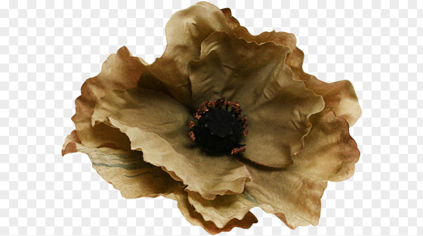 Flower Lossless Compression Photography Clip Art PNG