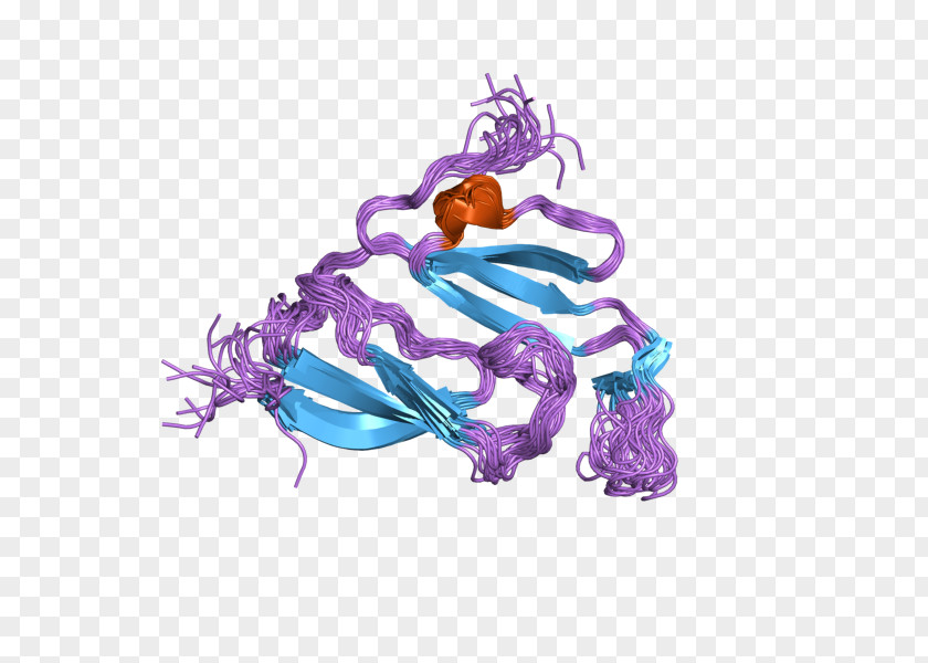 Organelle Major Vault Protein Gene Multiple Drug Resistance Font PNG