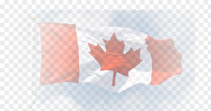 Canada 150th Anniversary Of Flag Maple Leaf O PNG