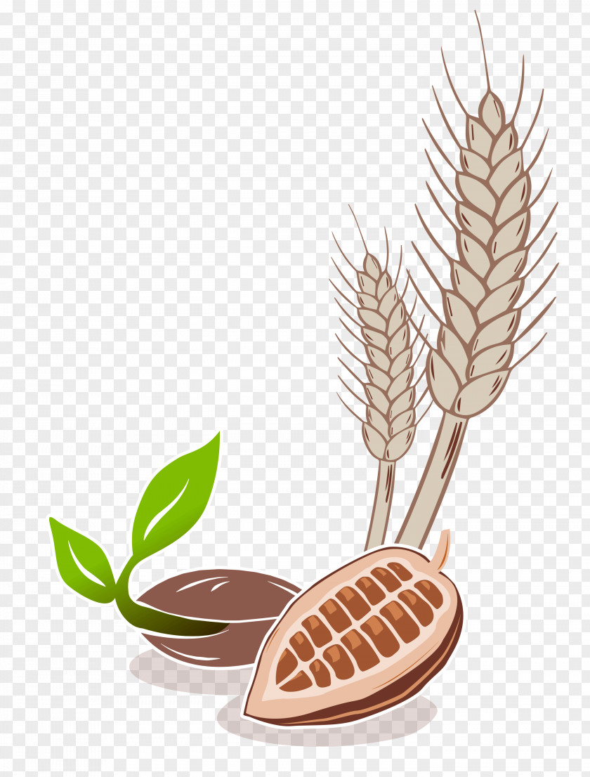 Design Commodity Plant PNG