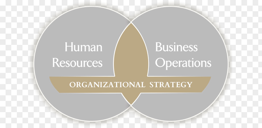Human Organization Brand Logo Product Design Font PNG