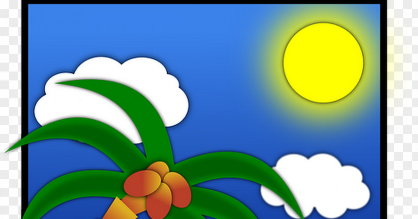 Kelapa Drawing Post Cards Clip Art PNG