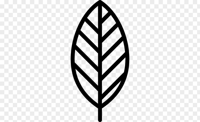 Leaf Logo PNG