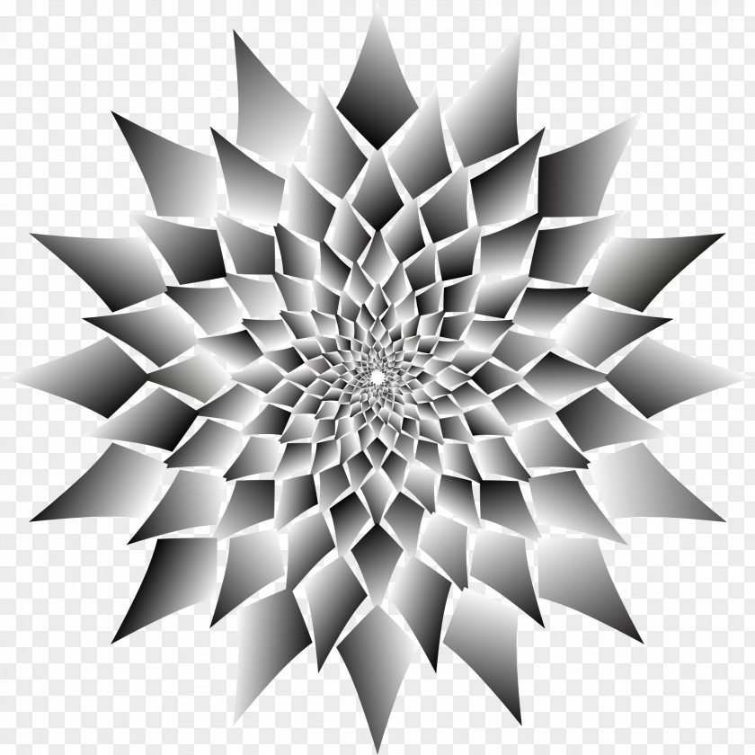 Vortex Drawing Clip Art PNG