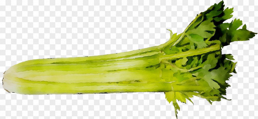 Broccoli Vegetarian Cuisine Rapini Food Celery PNG