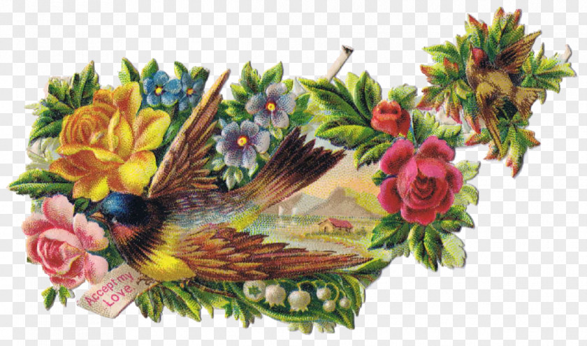 Floral Vintage Bird Clothing Clip Art PNG