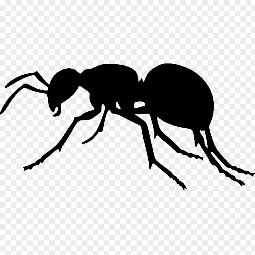 Silhouette The Ant Insect Clip Art PNG