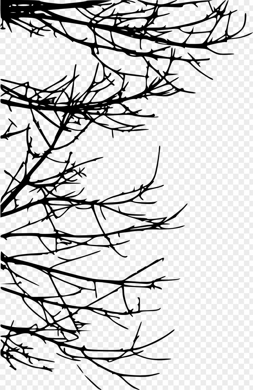 Tree Transparent Branch Twig Silhouette Drawing PNG