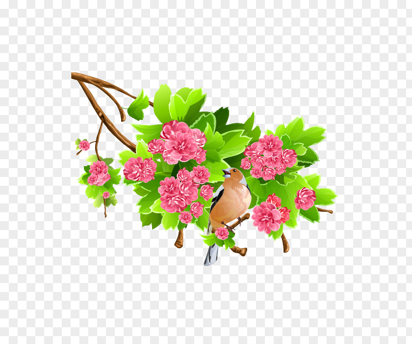 Vector Flowers Clip Art PNG