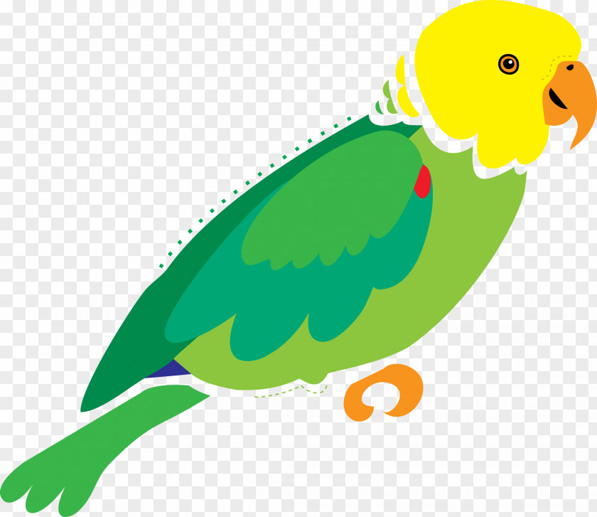 White Parrot Illustrator Macaw Art PNG