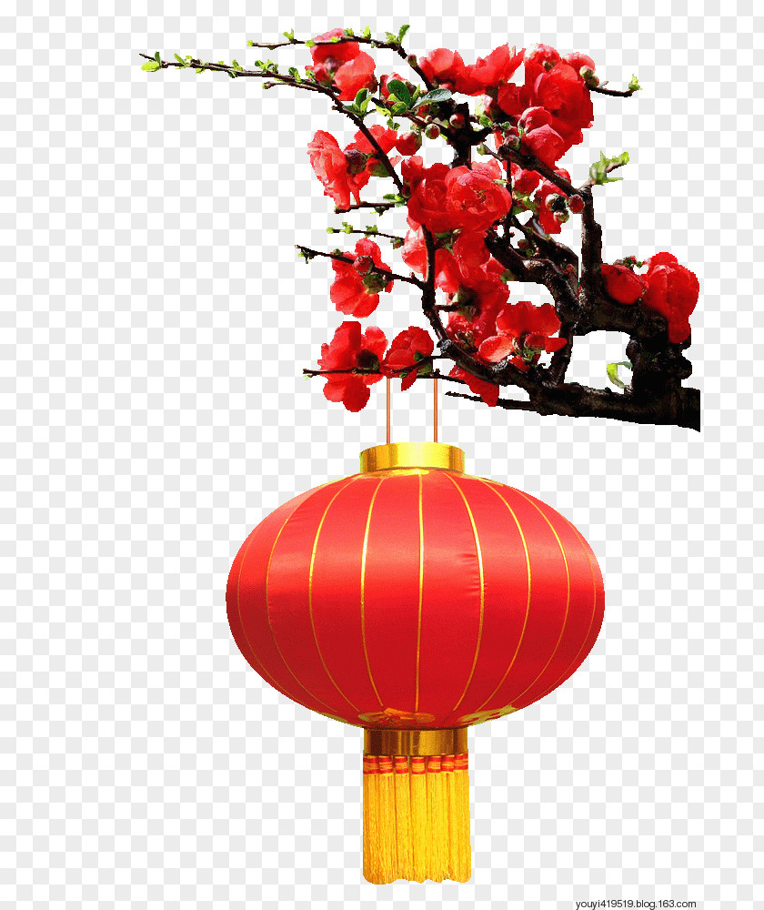 Big Red Chinese New Year Lantern Image Festival Vector Graphics PNG