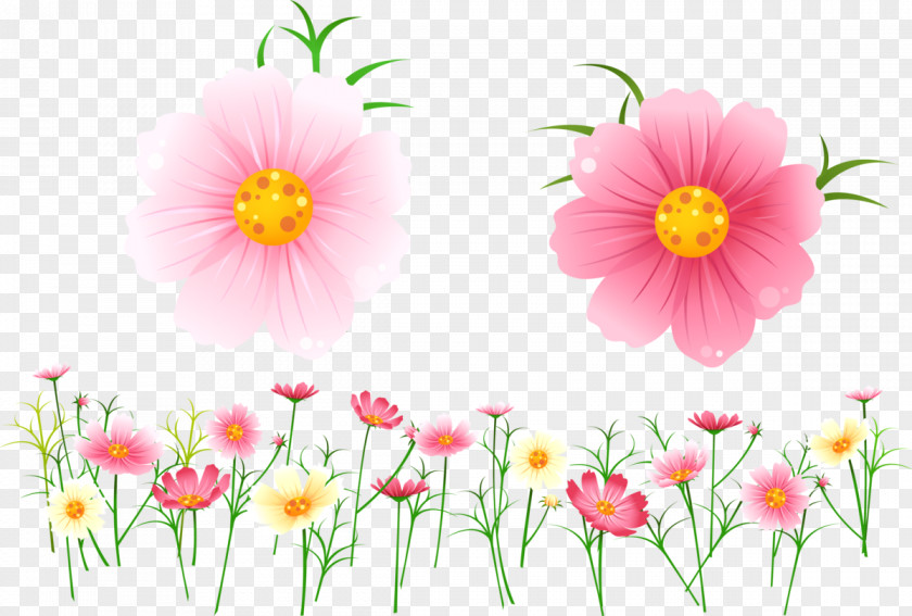 Flower Floral Design Drawing Clip Art PNG