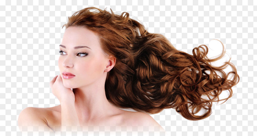 Shampoo Beauty Parlour Barber Cosmetologist Cosmetics Hairstyle PNG