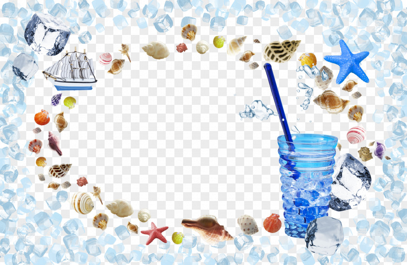 Shell Decorative Background Fundal Seashell Illustration PNG