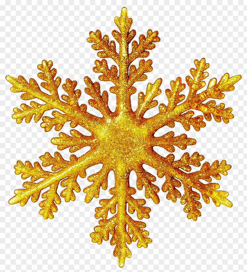 Snowflake PNG