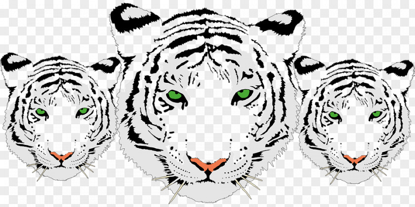 Tigre Tiger T-shirt Letter Worksheet Felidae PNG