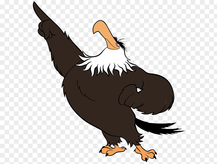 Angry Vulture Cliparts Mighty Eagle Bald Clip Art PNG