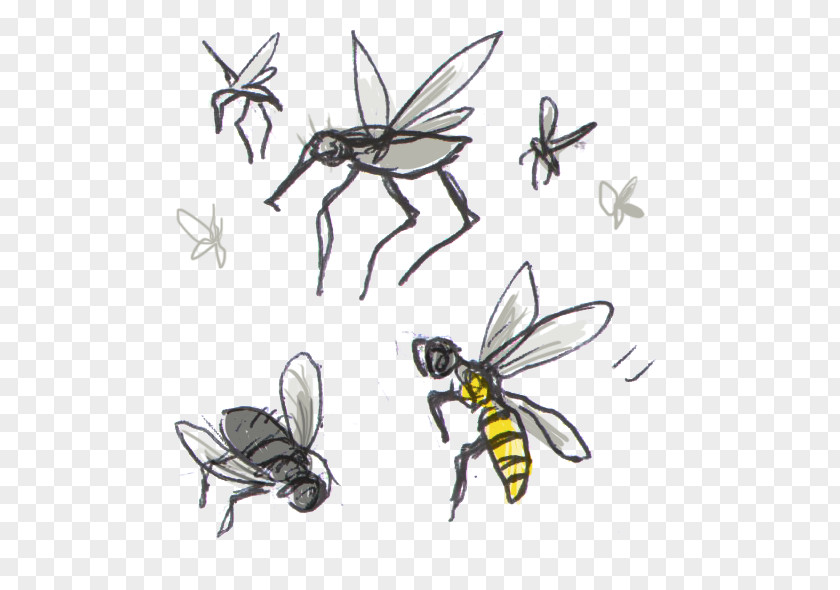 Bee Honey Clip Art Insect Bites And Stings PNG