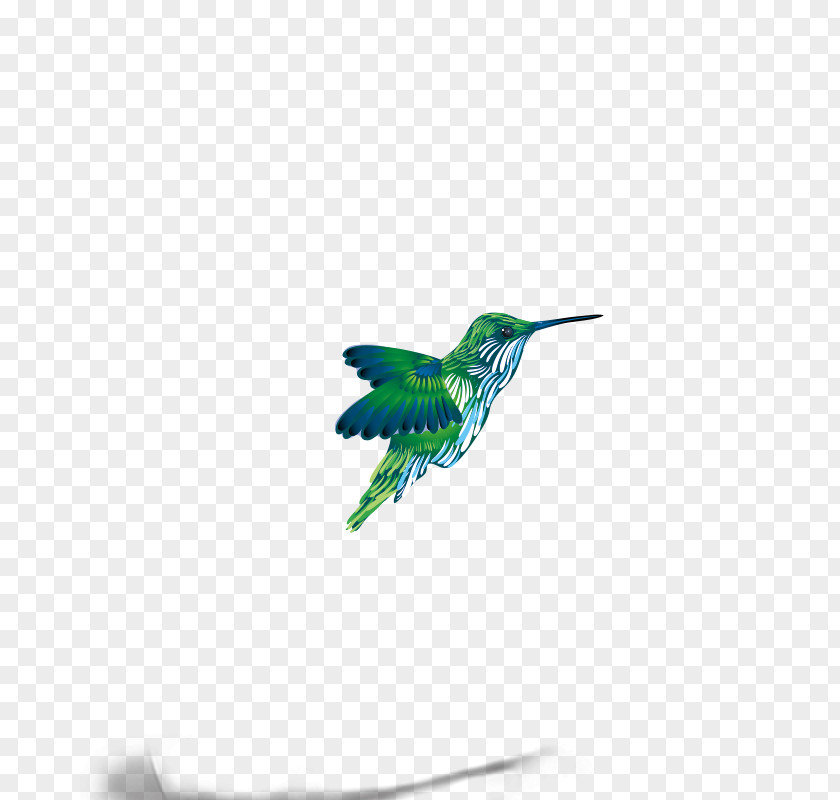 Birds Sparrow Bird Clip Art PNG