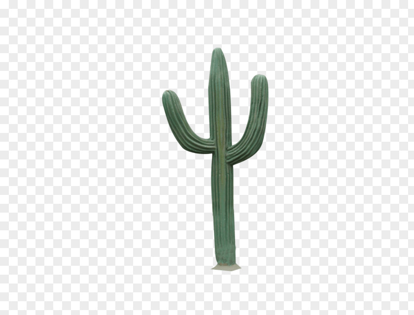 Desert Cactaceae Saguaro PNG