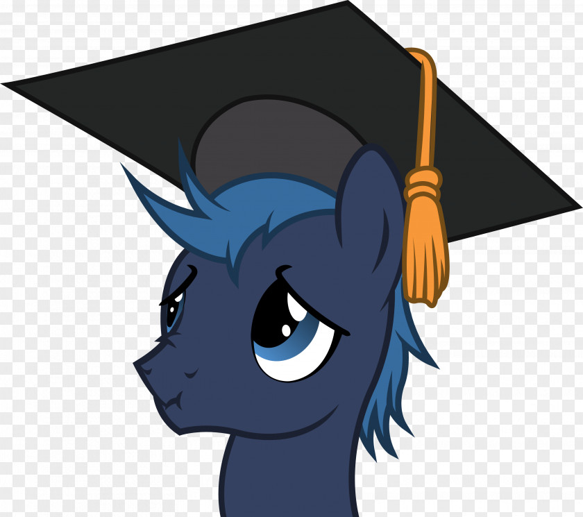 Graduation Respondents Pony Square Academic Cap Ceremony Transparent Free Download PNG
