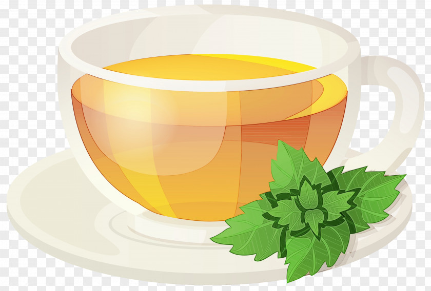 Ingredient Saucer Leaf Green Tea PNG