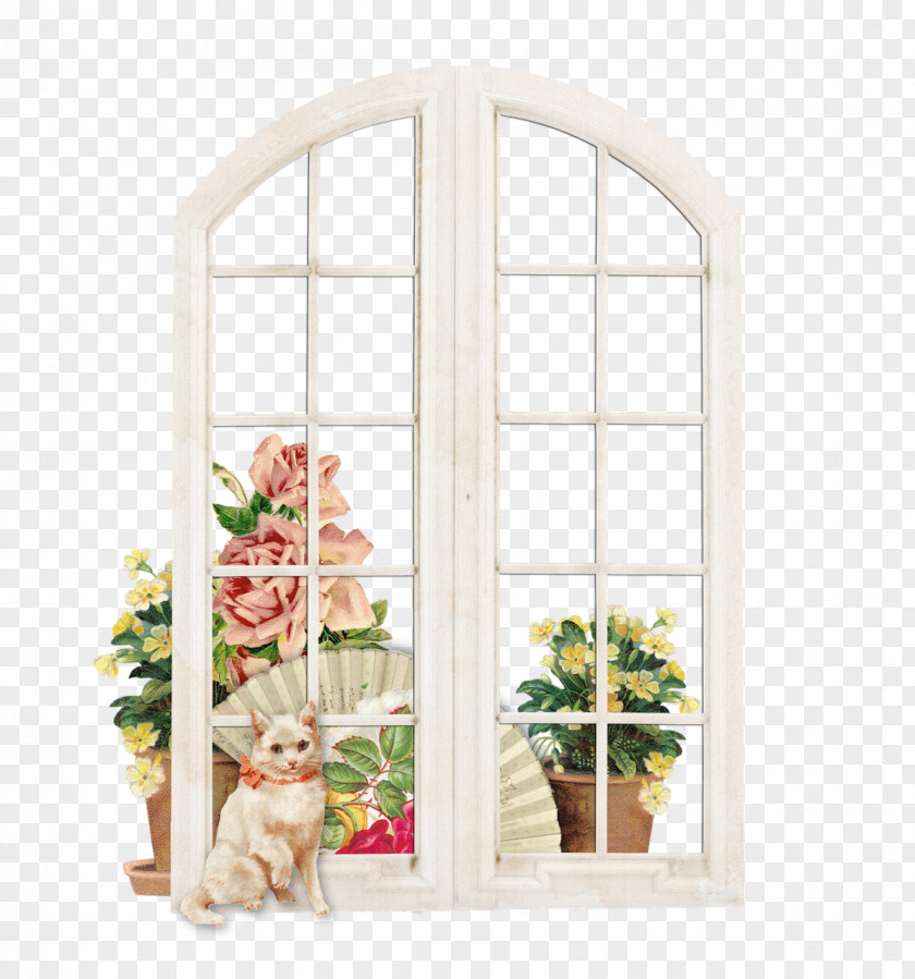Window Cat Flower PNG
