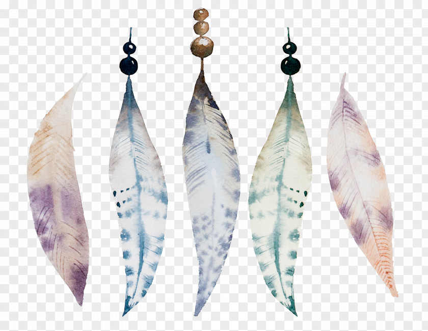 Beautiful Watercolor Feather Painting Drawing Illustration PNG