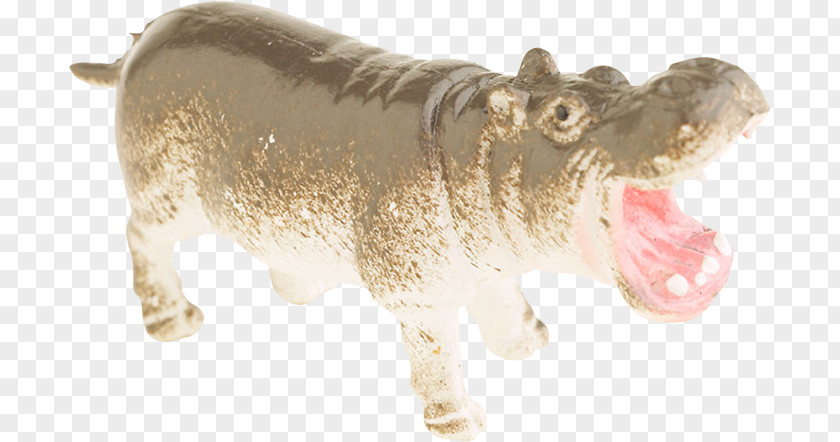 Cat Hippopotamus Palette PNG