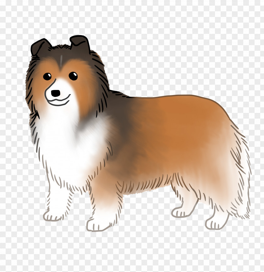 Shetland Sheepdog German Spitz Mittel Klein Icelandic Pomeranian Eurasier PNG