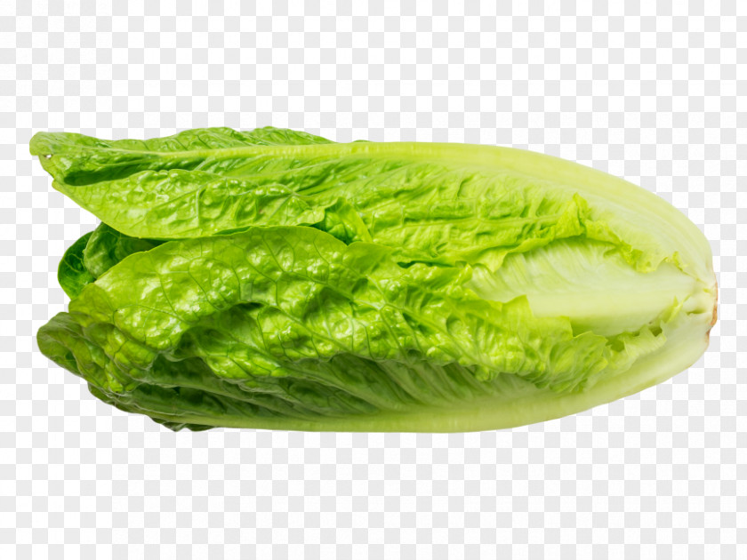 Vegetable Romaine Lettuce Chinese Cabbage Greens PNG