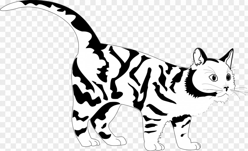 Black Cat Tiger Coloring Book Clip Art PNG