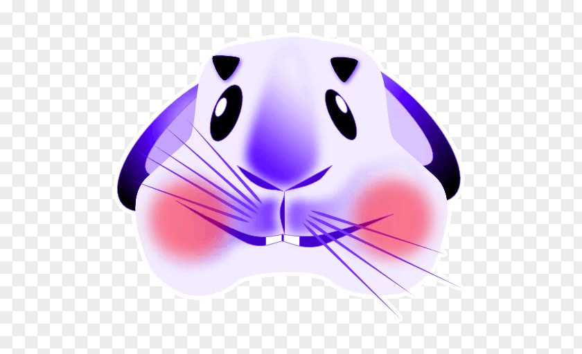 Cat Whiskers Mouse Snout PNG