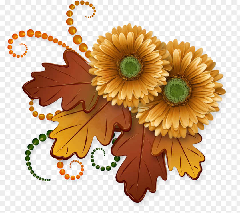 Cut Flowers Leaf Sunflower PNG