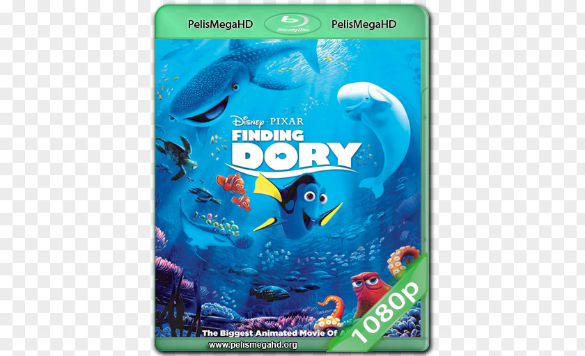 Dvd Blu-ray Disc Nemo Digital Copy Marlin DVD PNG