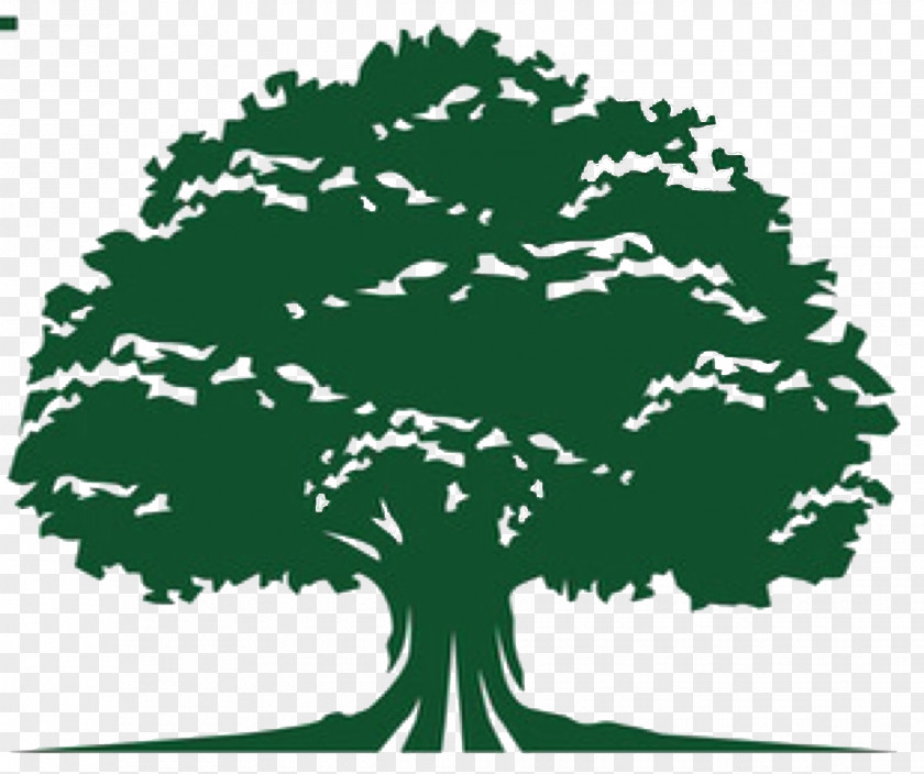 Emerald Ash Borer Clipart Sacred Heart University Denver Finance Management Financial Services PNG