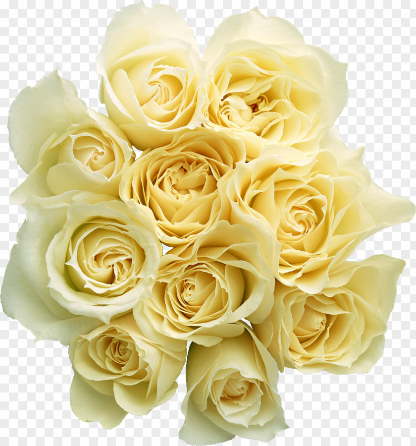 Flowers Ben Rose Flower Clip Art PNG