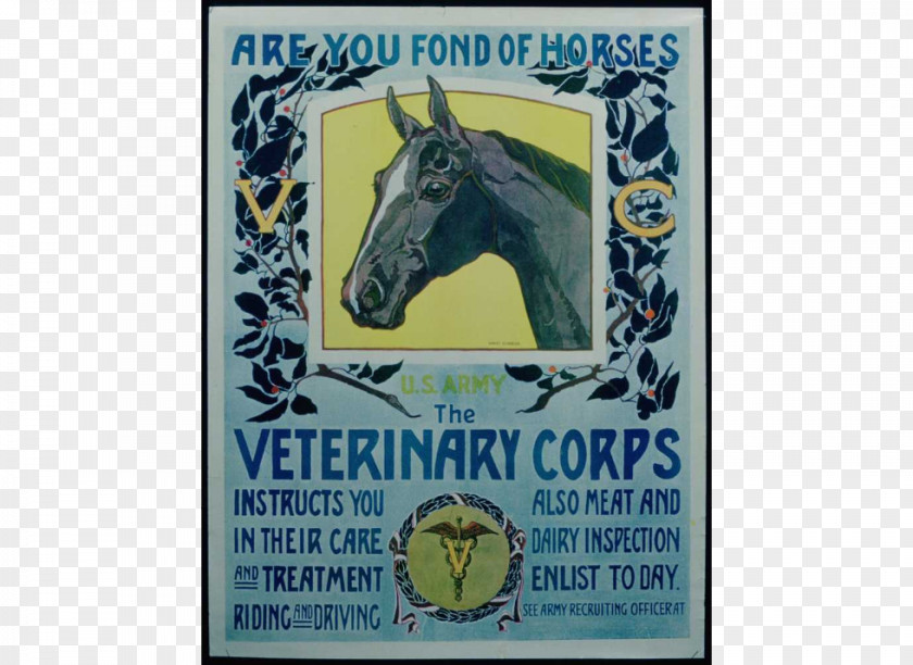 Horse Poster First World War Printing United States PNG