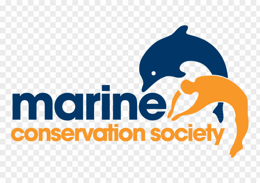 Marine Life Conservation Society Sea PNG