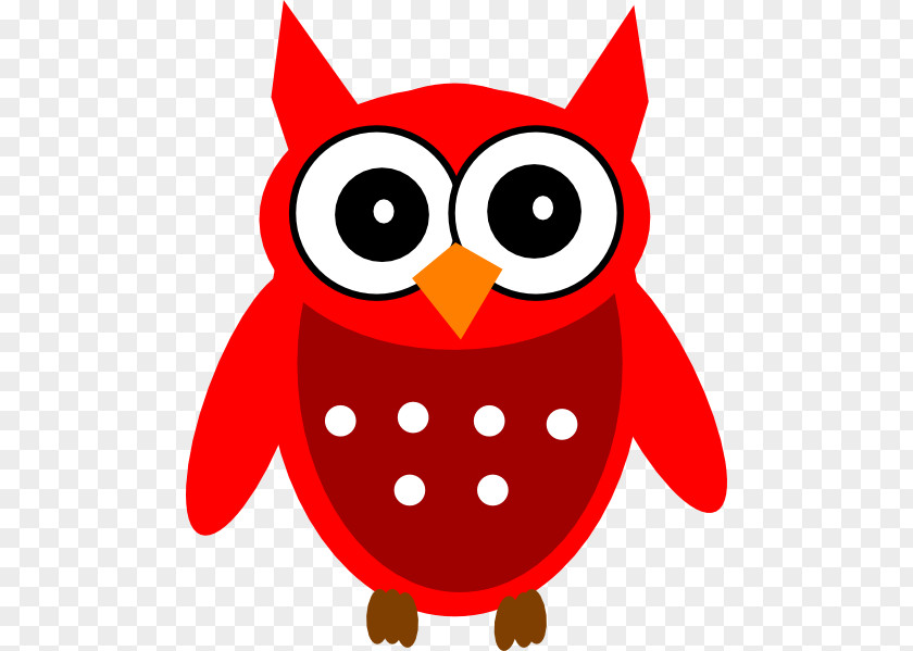 Owl Bird Clip Art Image Animated Cartoon PNG